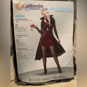 Blood Thirsty Beauty Adult Costume